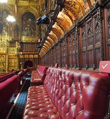 Red benches in the House of Lords, symbolising the seating arrangement for Lords during sessions.