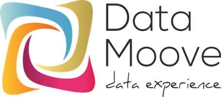 Data Moove logo