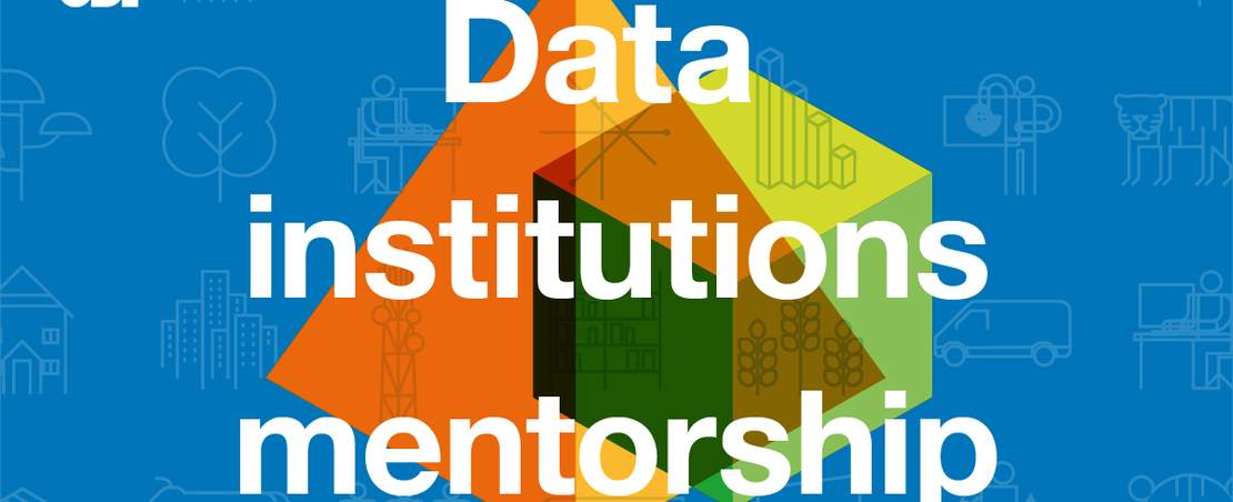 Data institutions mentorship graphic
