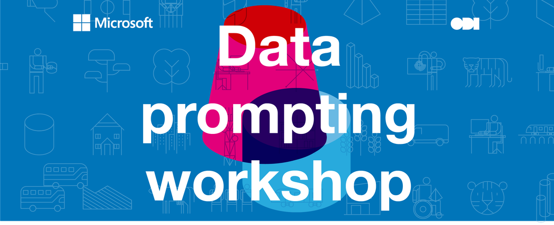 Data prompt workshop