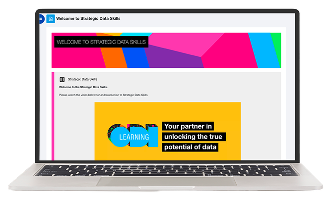 strategic data skills screen image