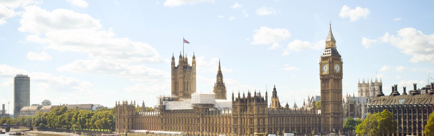 The Palace of Westminster