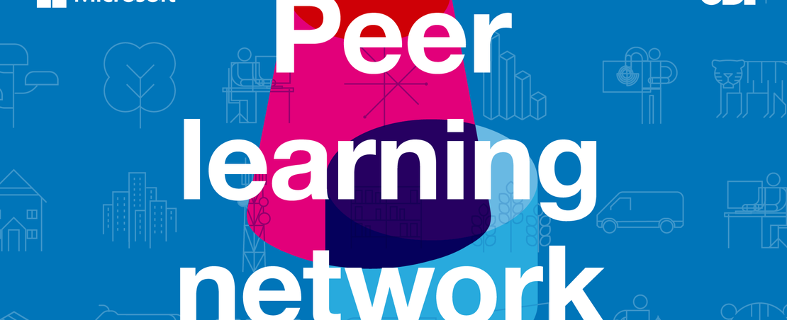 peer learning network- ODI Microsoft - data institutions 2020-10-15_1